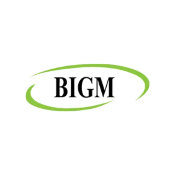 bigm logo